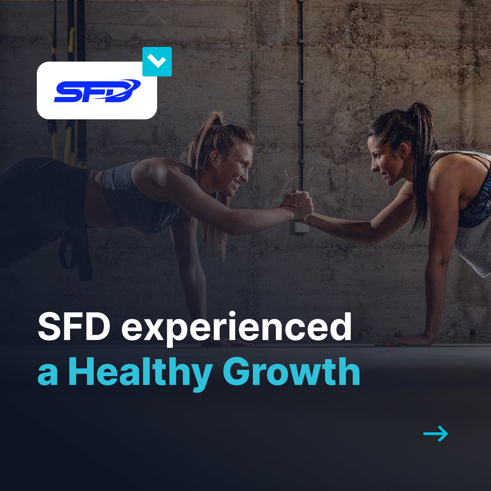 SFD-EN Download