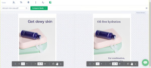 Asset-proofing Screenshot