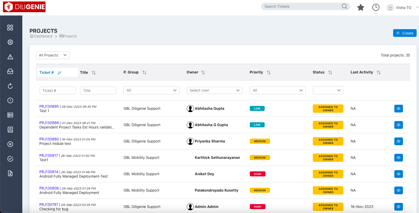IT Project Management Screenshot