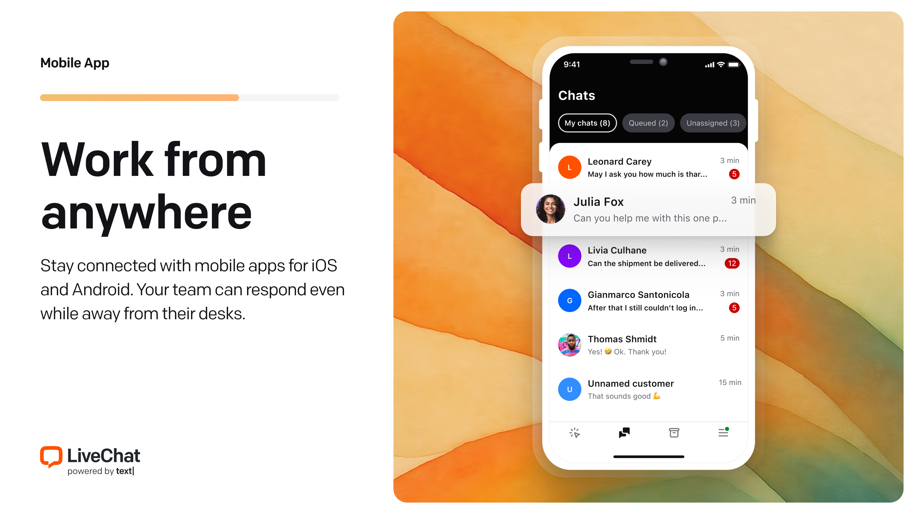 3-Customization  Screenshot