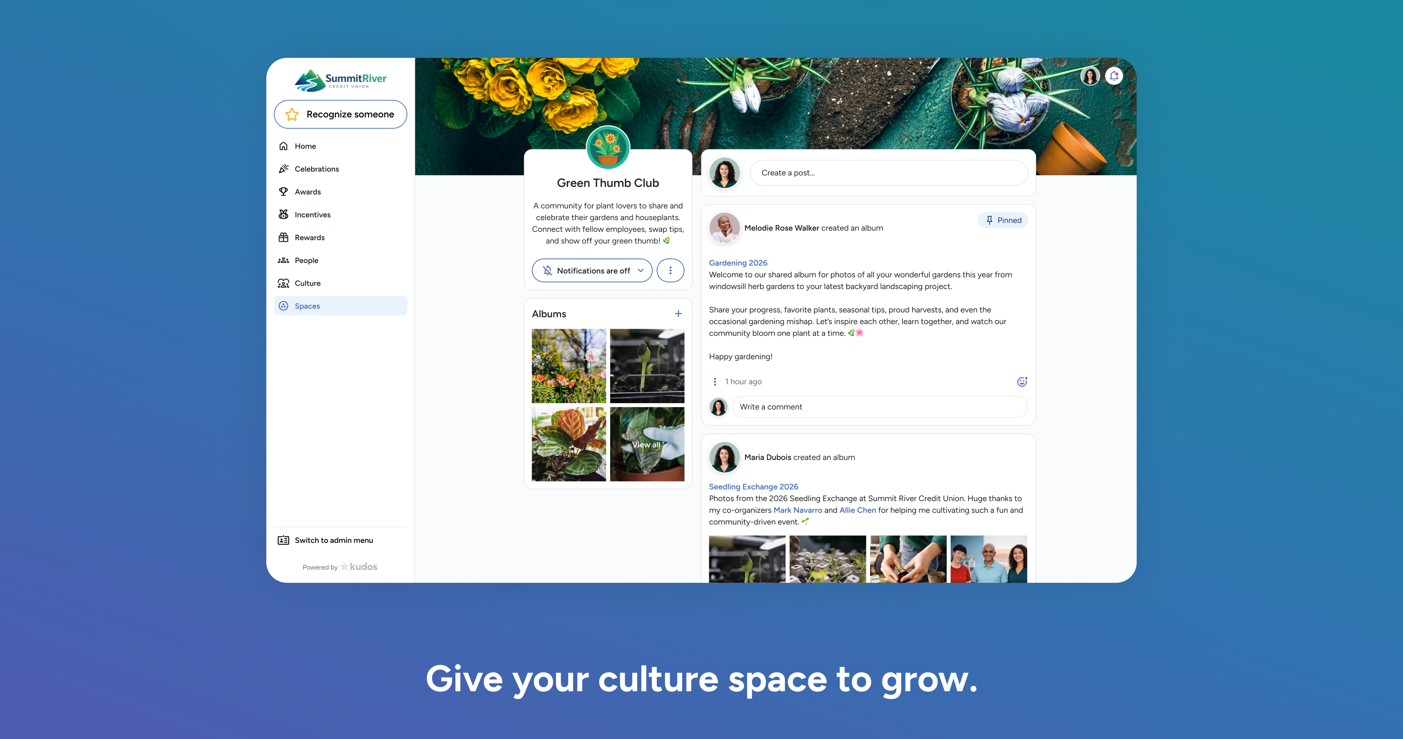 Spaces & Albums Screenshot