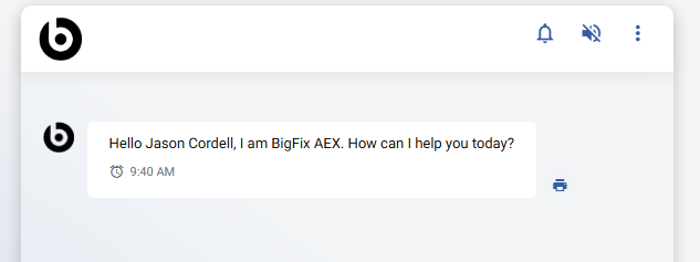 BigFix AEX Screenshot