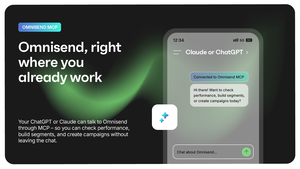 Ecom-2-claude-chatgpt Screenshot