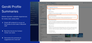 Blueshift GenAI Customer Profiles Screenshot