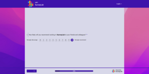 SurveyLab_NPS_Survey_Example Screenshot