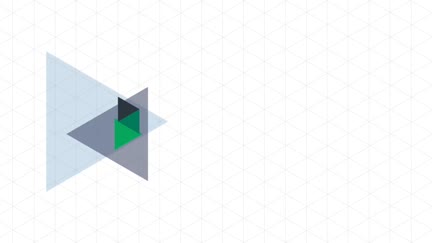 Customer Opinions Video